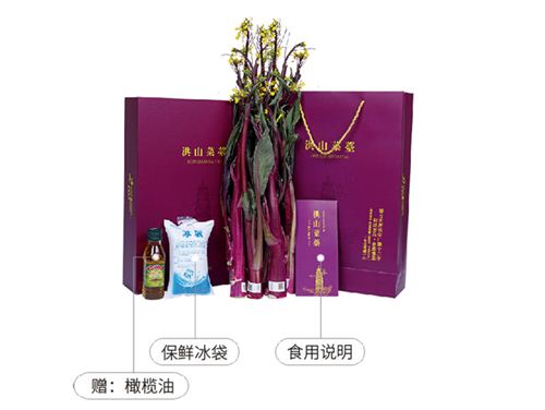 洪山菜薹