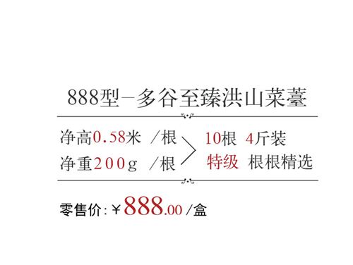 洪山菜薹