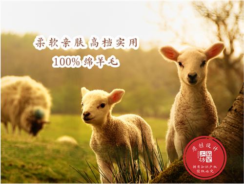 汉绣羊绒围巾