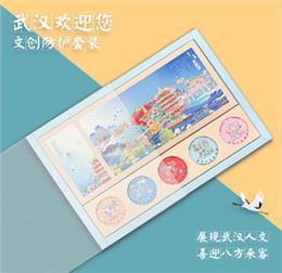 武汉文创 防护套装