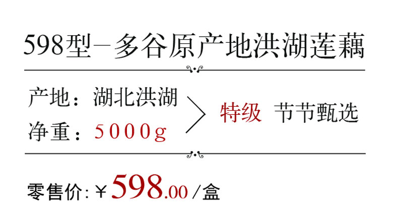 特选洪湖莲藕 500克 湖北特色时令佳品