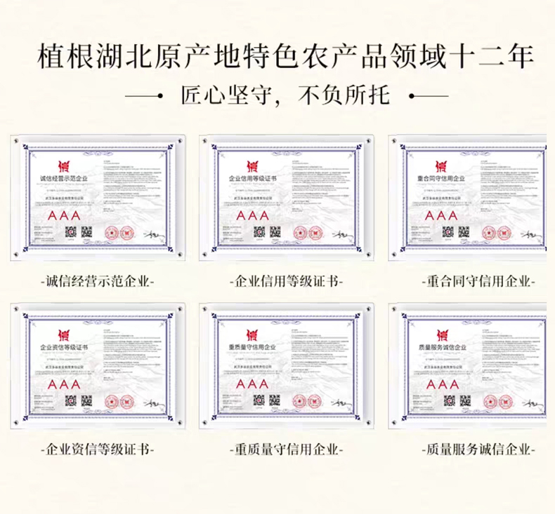 企业证书