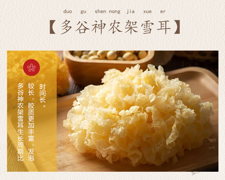 湖北神农架雪耳 湖北神农架雪耳