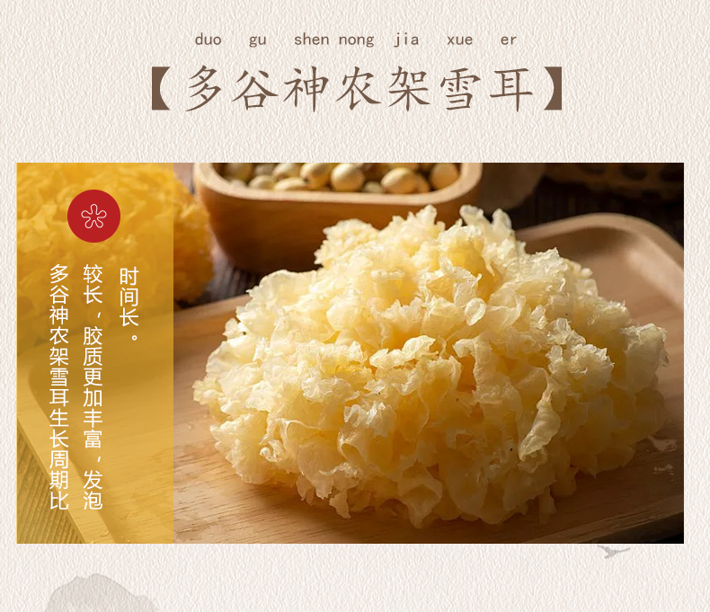 湖北神农架雪耳