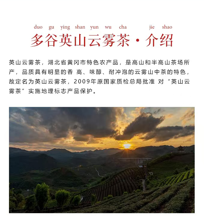 英山云雾茶  介绍