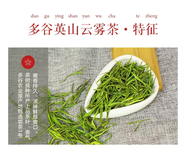 英山云雾 特色
