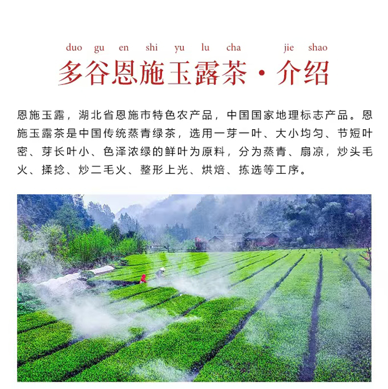 恩施玉露 特色介绍 恩施玉露 特色介绍