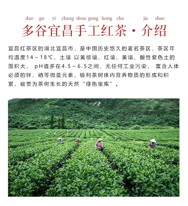 湖北特色高档伴手礼