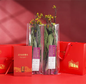新春伴手礼 荆楚瑞年